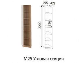 М25 Угловая секция в Ханты-Мансийске - hanty-mansijsk.magazin-mebel74.ru | фото