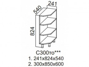 С300то Стол рабочий 300 (торцевой открытый) в Ханты-Мансийске - hanty-mansijsk.magazin-mebel74.ru | фото