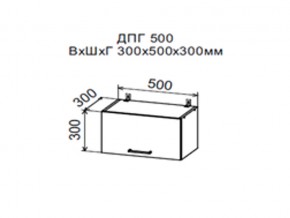 Шкаф верхний ДПГ500 горизонтальный в Ханты-Мансийске - hanty-mansijsk.magazin-mebel74.ru | фото