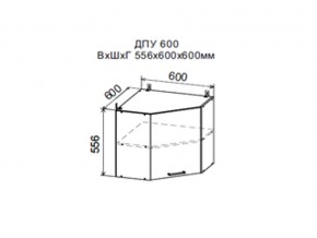 Шкаф верхний ДПУ600 угловой в Ханты-Мансийске - hanty-mansijsk.magazin-mebel74.ru | фото